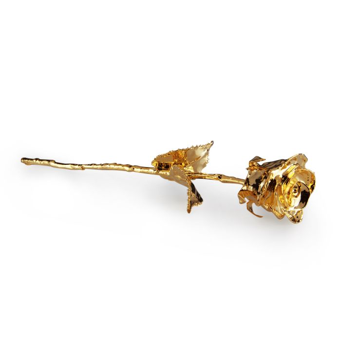 Gold-rose_2nd Gold rose 2nd