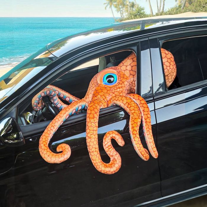 giant octopus 2