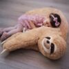 sloth-pillow2_1 sloth pillow2 1