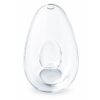 avocado-vase-avocat-noyau-croissance-eau-majdeltier-3 avocado vase avocat noyau croissance eau majdeltier 3