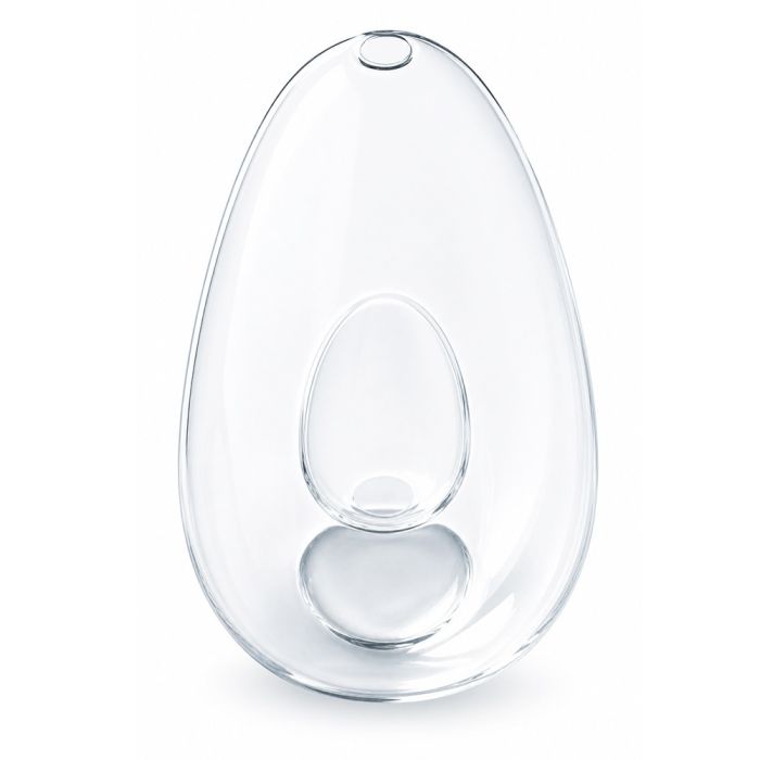 avocado-vase-avocat-noyau-croissance-eau-majdeltier-3 avocado vase avocat noyau croissance eau majdeltier 3