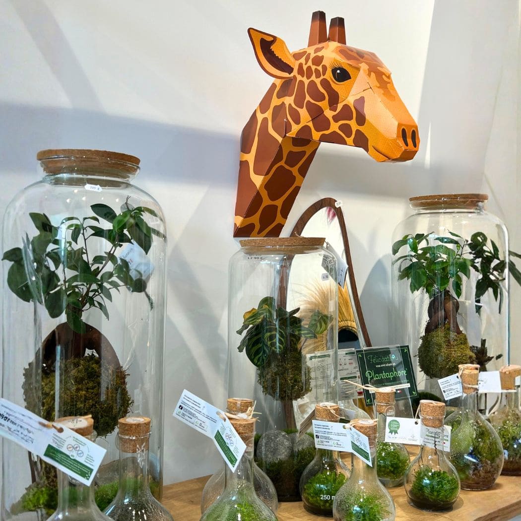 terrarium suspendus, design original
